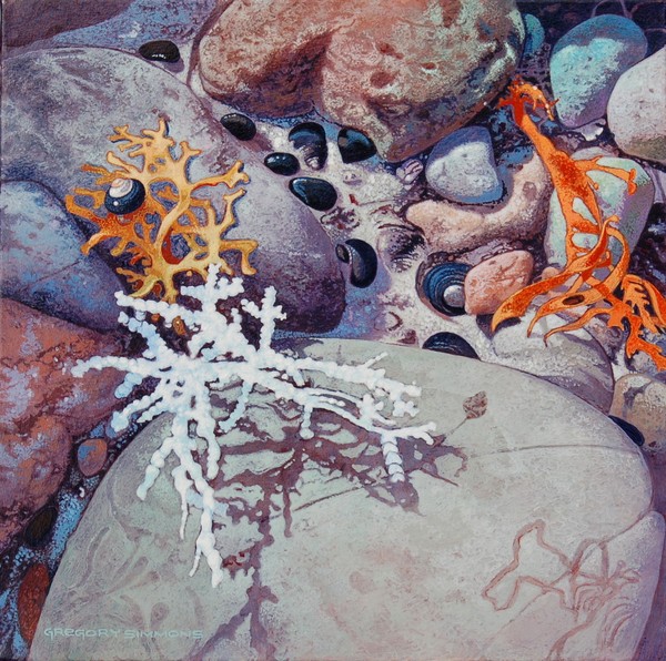 TIDE POOL 5 (SOLD)