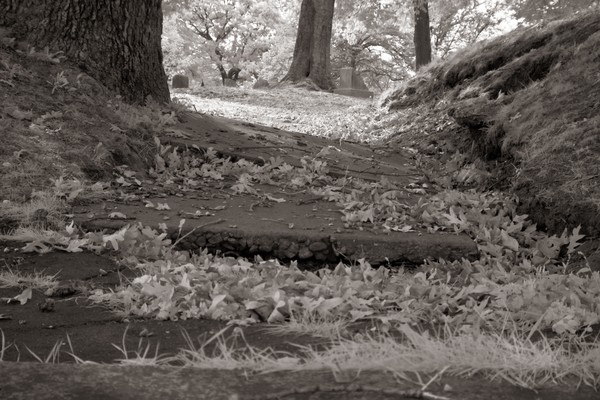 Stairway #3