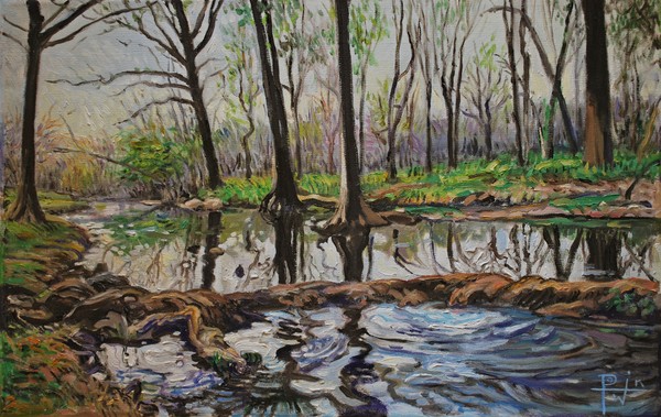 Cypress Creek - Wimberley, Texas