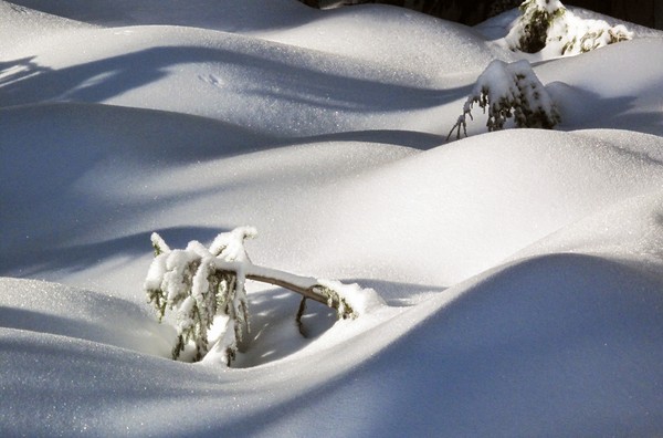 Seymour Snow Scene 10