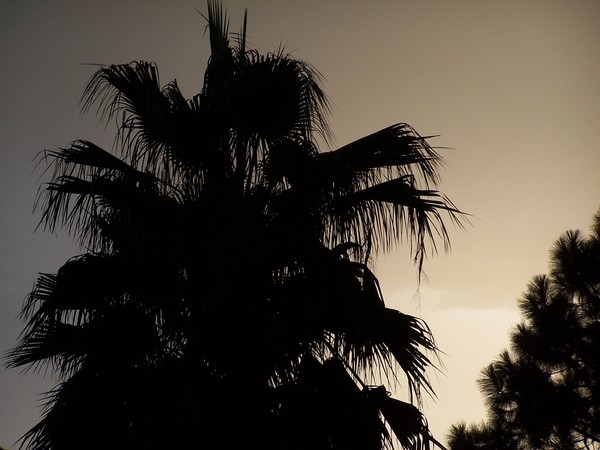 Florida after a rain