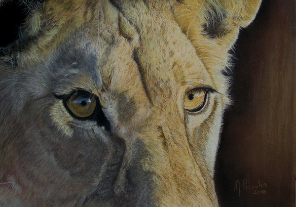 Lion(ess) Eyes