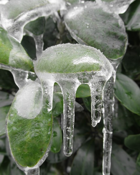 Ice