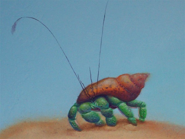The Hermit Crab