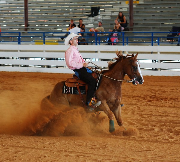 Reining Cow Show Ocala Florida