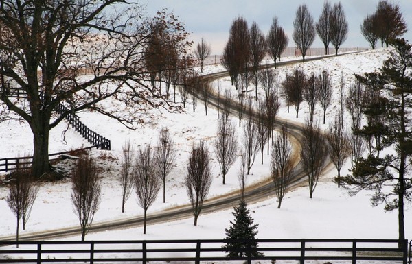 The road winds upward