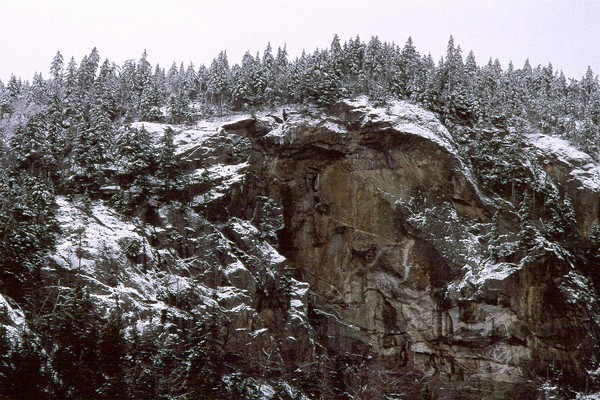 Evans Notch, Frosted Trees