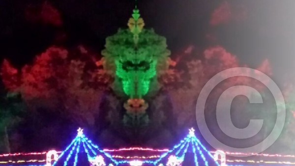 Tree Dragon 