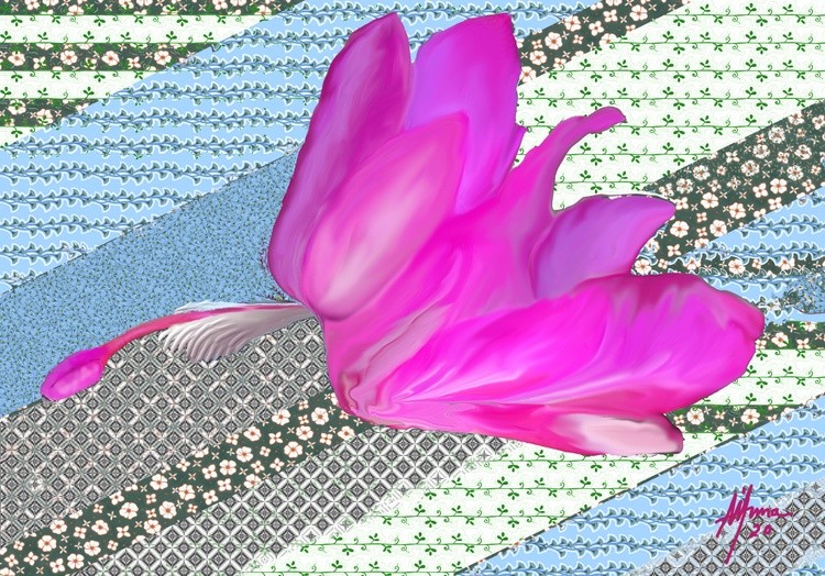 FLORA bak