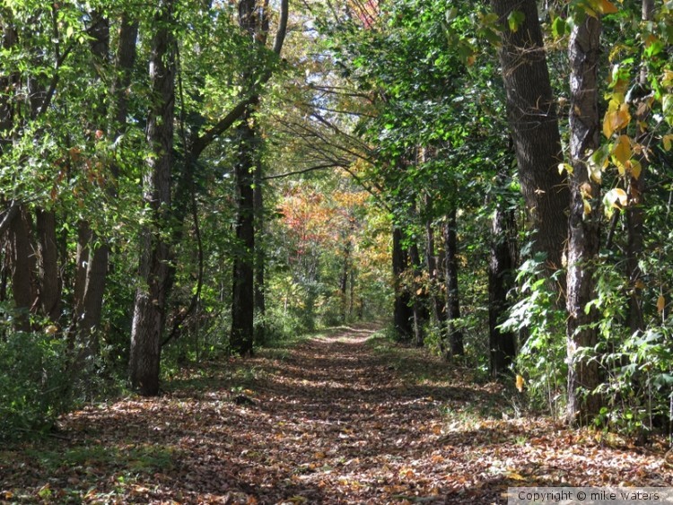 Nature trail