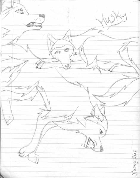More doodles...