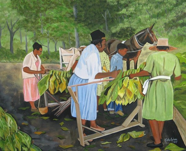 Putting In Tobacco