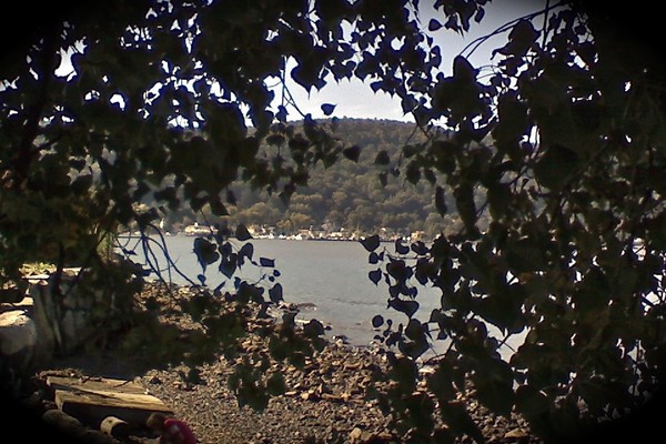 Bay