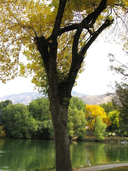 Salem pond