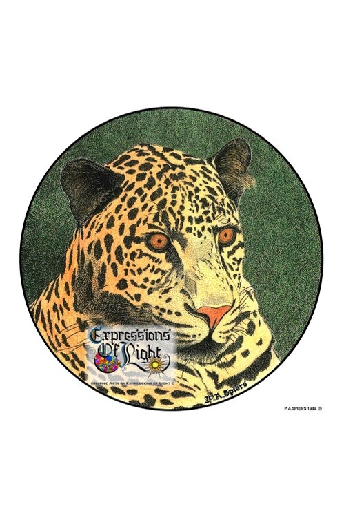 ExpoLight-Graphic-Arts-Leopard-1989-0001 (Pen-&-Ink-Coloured-SP)