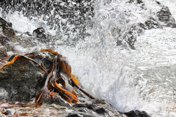 Rock Splash