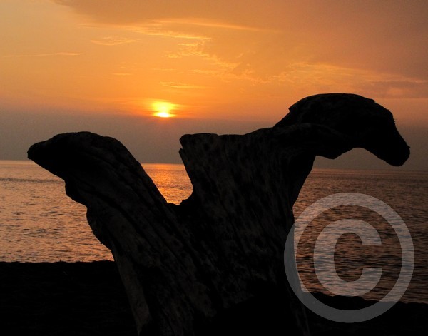 Lake Superior Driftwood Sunset too!