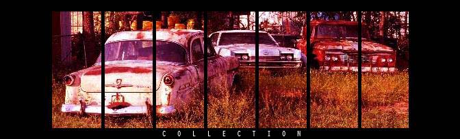 COLLECTION