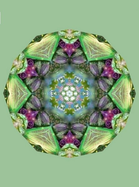 Green Mandala