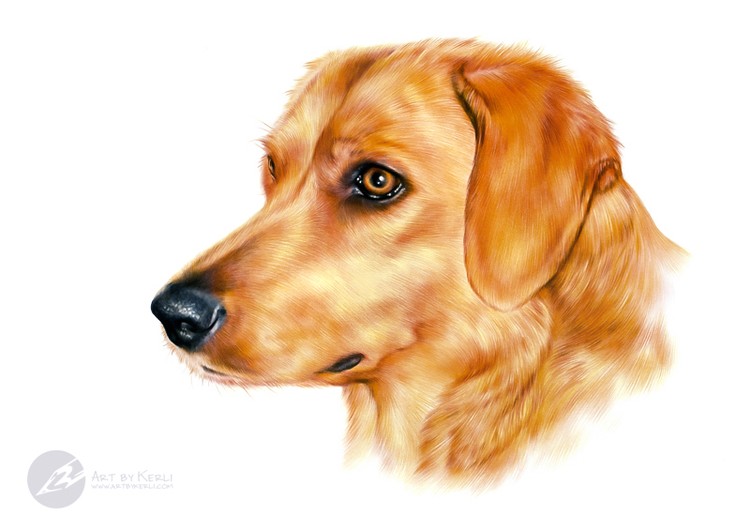 Brunella