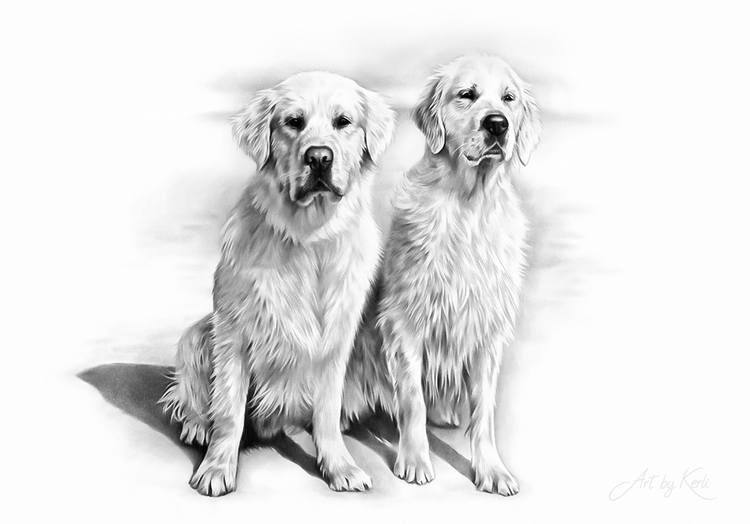 Finn & Pici