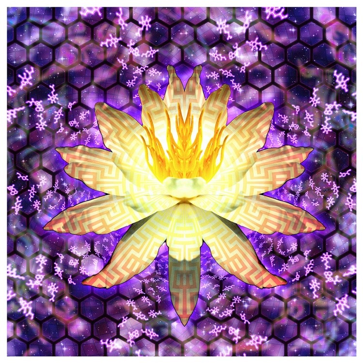 Mindalae-BL-web