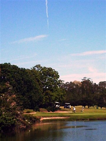 were is  my golf ball  
