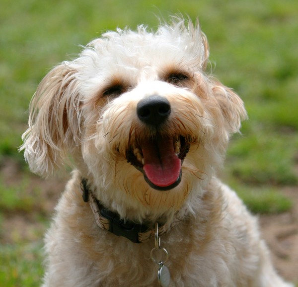 Smiley Face