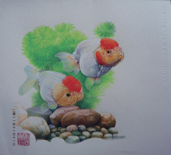 Jinyu02