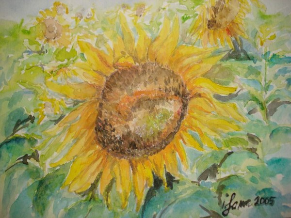 Sunflowers