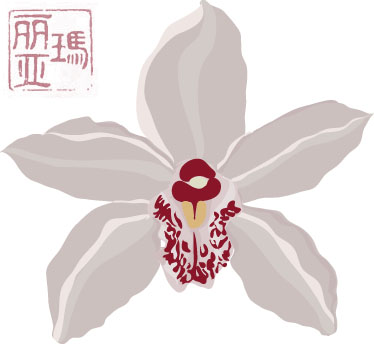 Orchid