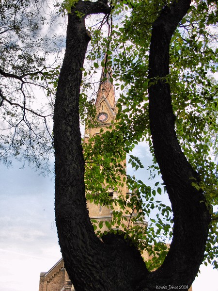 Church