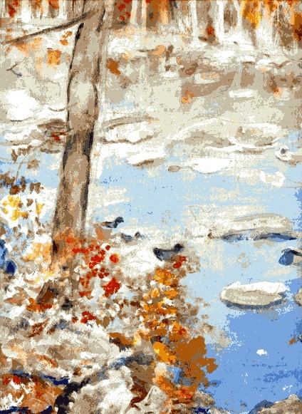 DUCKS ON THE JAMES
