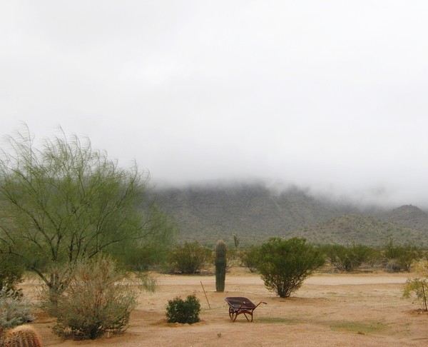 Fog Rolling In