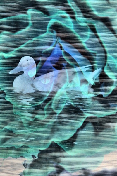 dream pond