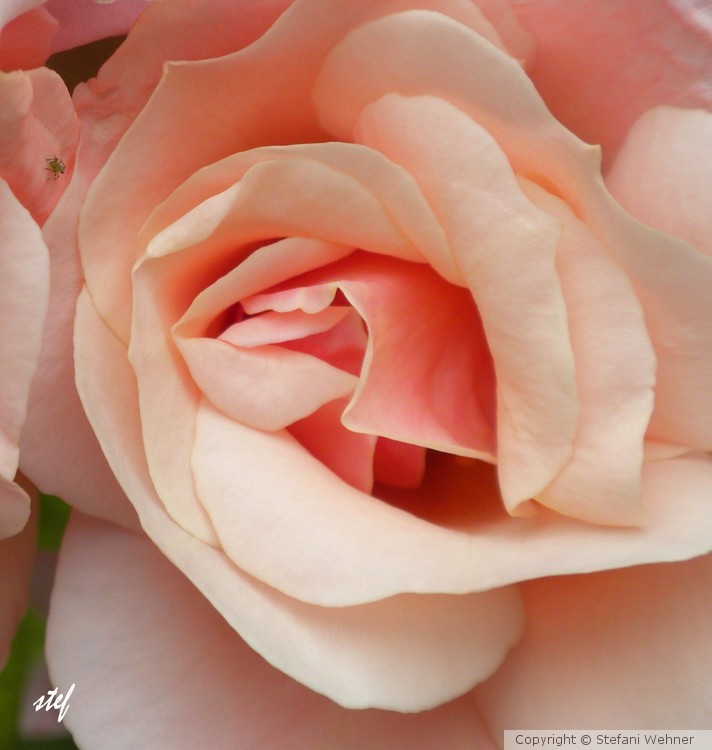 Just for you