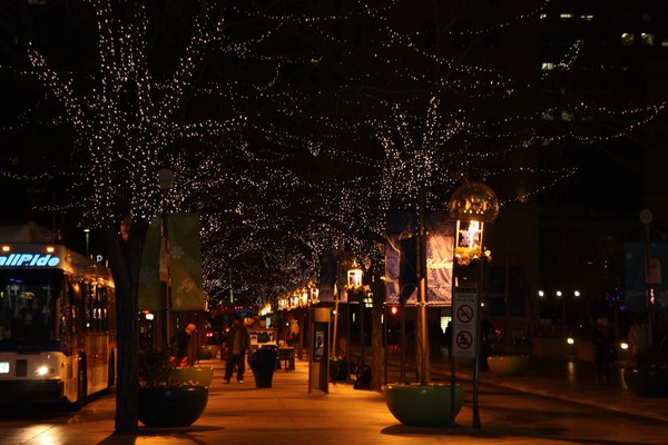 canopy of light