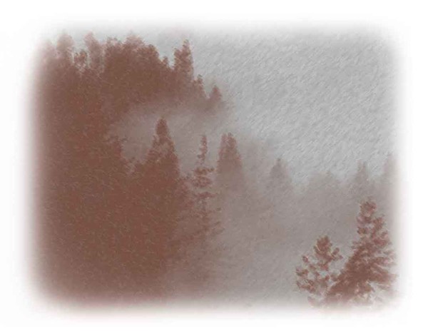 Mendocino