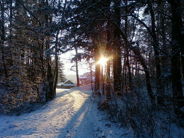 Play with sun