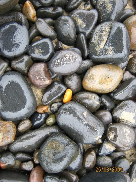beach rocks