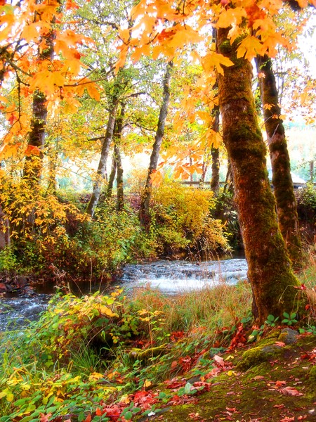Larwood Wayside Series ~ # 8