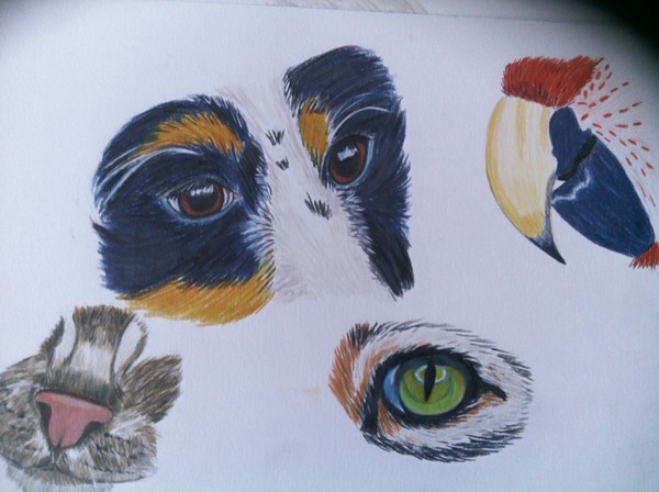 Colored pencil practice