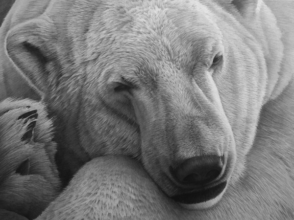 Sleeping giant