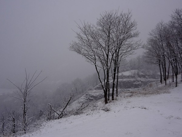 DSC00330