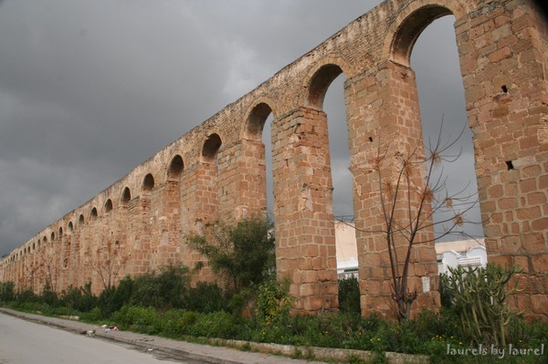 Aqueduct Ruins in Tunis