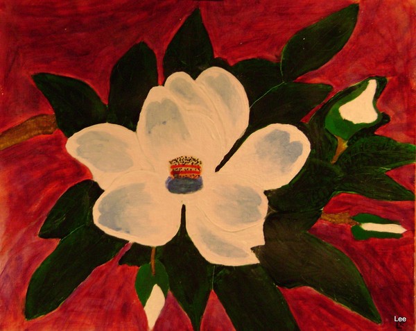 Magnolia petite