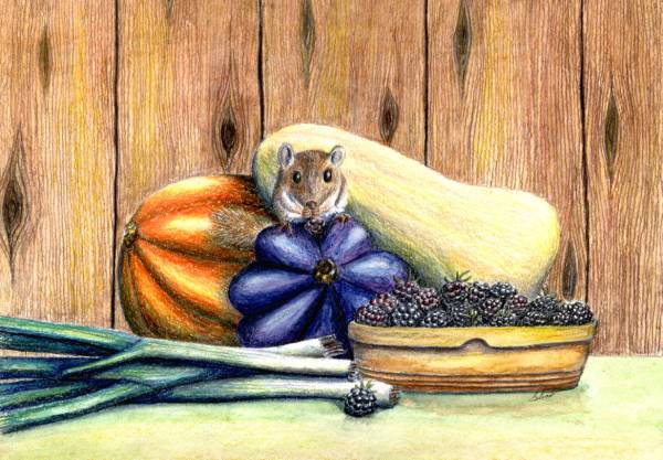 Harvest Feast