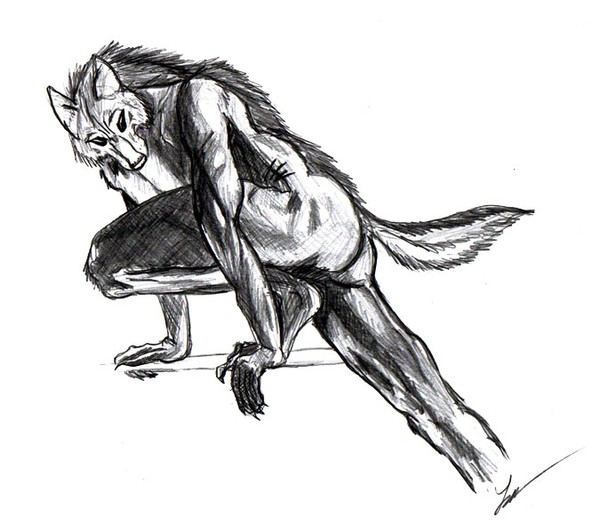 Were Wolf Concept