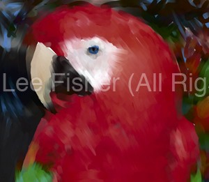 Bird Landscape