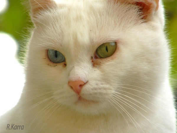 	 Look into my eyes